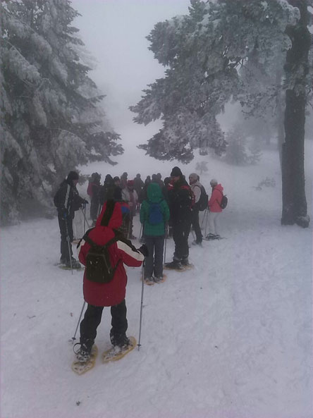 nieve-2